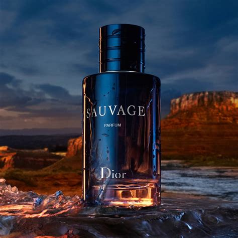 dior sauvage parfum 500ml|sauvage dior 100ml price.